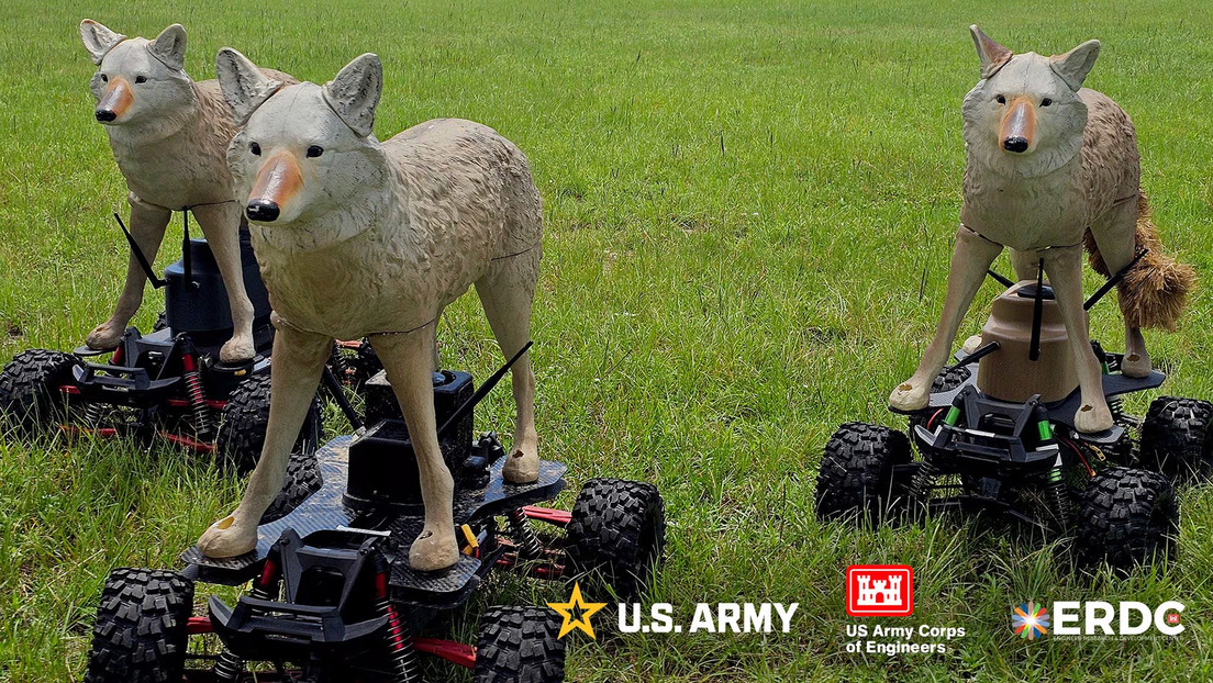 Coyotes de plástico: la peculiar táctica de EE.UU. para proteger sus aeródromos