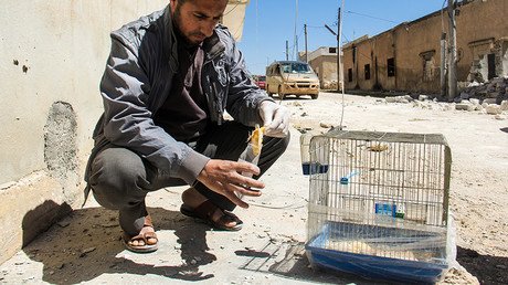 Chemical attacks in Syria must be investigated, but current probe unprofessional – Moscow