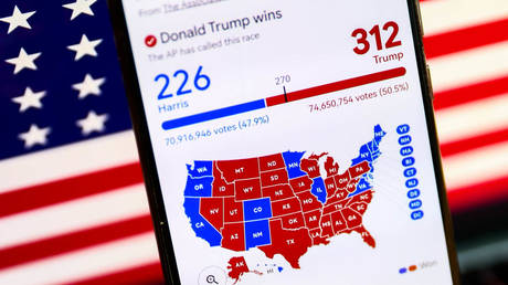Results of the 2024 US presidential elections are announced online, November 10, 2024.