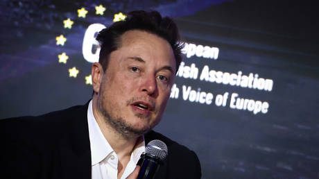 FILE PHOTO: Elon Musk.