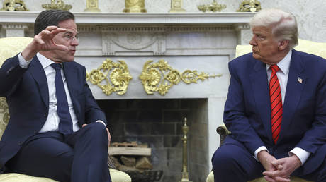 FILE PHOTO: President Donald Trump meets NATO Secretary General Mark Rutte in the Oval Office, March 13, 2025