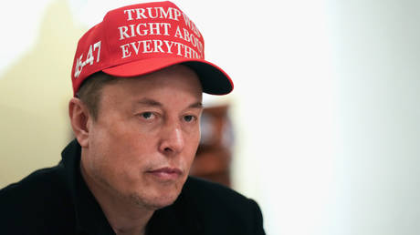 FILE PHOTO: Elon Musk.