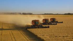 Russia boosts wheat exports to Africa