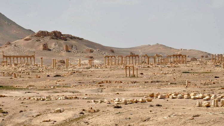 متحف الإرميتاج الروسي مستعد للمساعدة في ترميم آثار تدمر